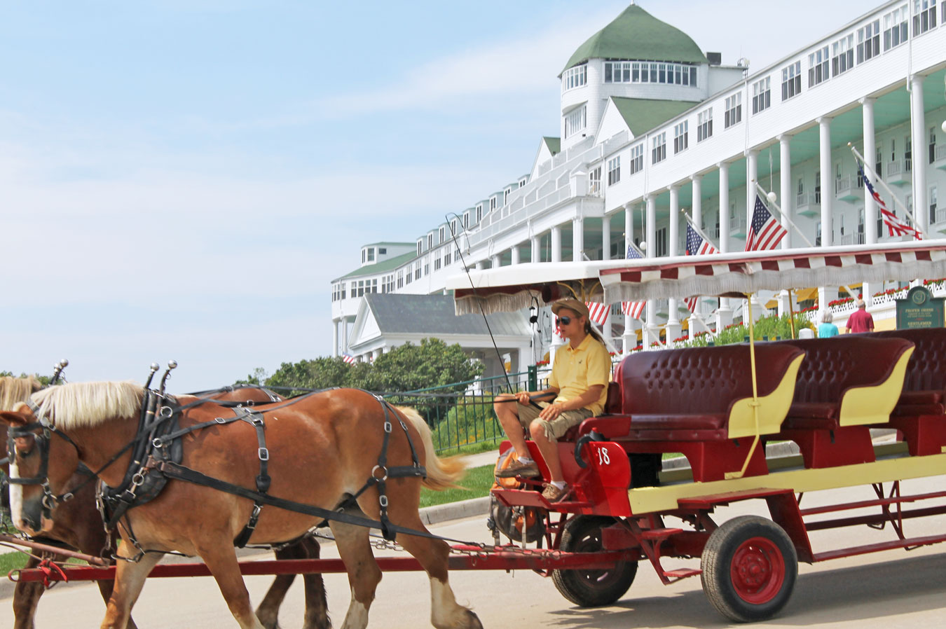 5 Reasons A Mackinac Island Carriage Tour Will Make Your Day Wading 