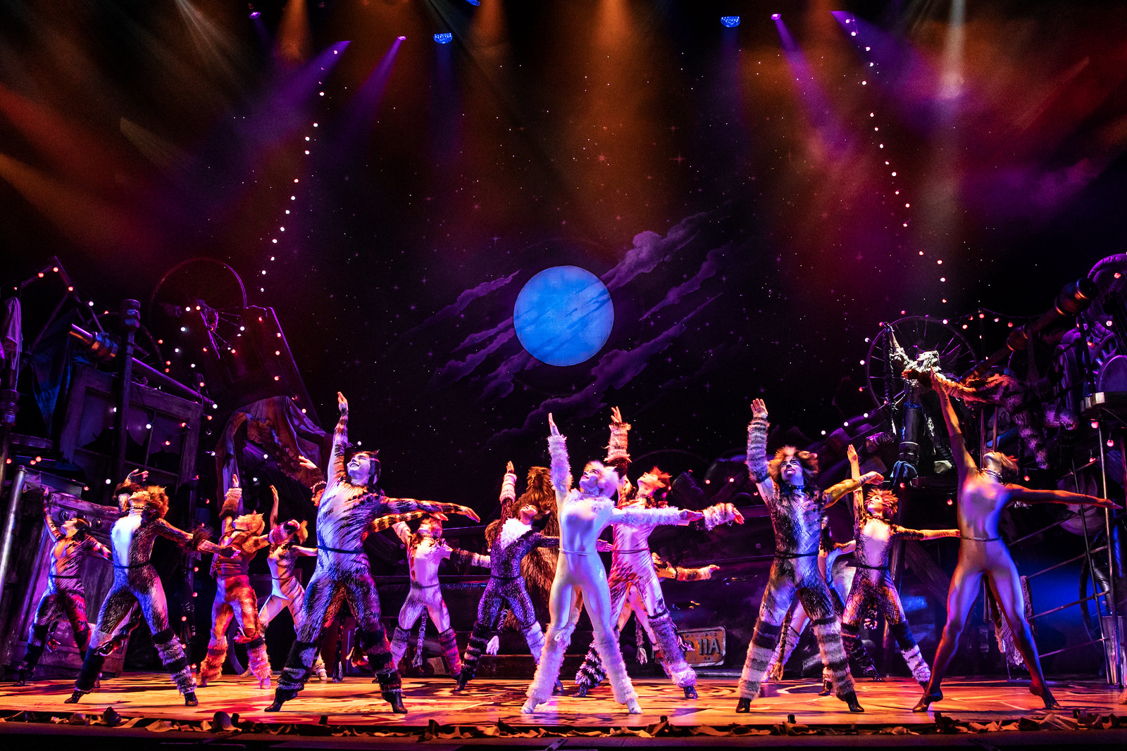 North American Tour Company of CATS. // Photo: Matthew Murphy // Broadway in Detroit: ‘CATS’ At Detroit’s Fisher Theatre September 3-15, 2019